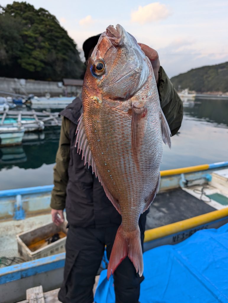 2025.8.6 魚　新潟産煙瑪瑙 2025.8.6 魚 新潟産煙瑪瑙 2025.8.6 魚 新潟産煙瑪瑙 2025.8.6 魚 新潟